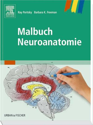 Malbuch Neuroanatomie