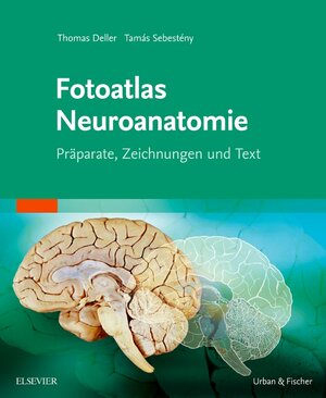 Buchcover Fotoatlas Neuroanatomie | Thomas Deller | EAN 9783437412158 | ISBN 3-437-41215-9 | ISBN 978-3-437-41215-8