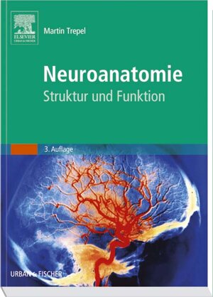 Neuroanatomie. Struktur und Funktion