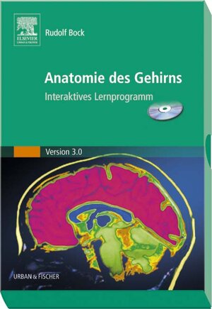 Anatomie des Gehirns: Interaktives Lernprogramm Version 3.0