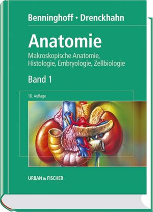 Anatomie. Makroskopische Anatomie, Histologie, Embryologie, Zellbiologie, Bd. 1