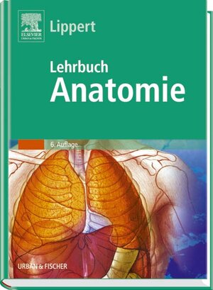 Buchcover Lehrbuch Anatomie | Herbert Lippert | EAN 9783437423611 | ISBN 3-437-42361-4 | ISBN 978-3-437-42361-1