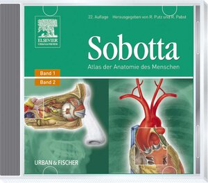 Buchcover Sobotta, Atlas der Anatomie des Menschen - CD-ROM, Version 3.0 | EAN 9783437425523 | ISBN 3-437-42552-8 | ISBN 978-3-437-42552-3