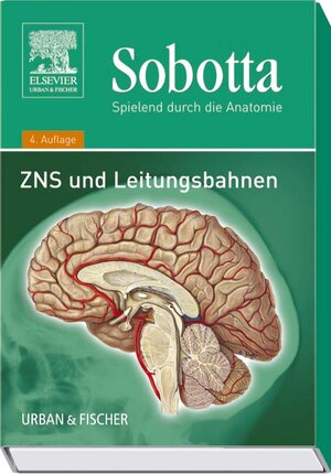 Sobotta, Spielend durch die Anatomie: ZNS und Leitungsbahnen