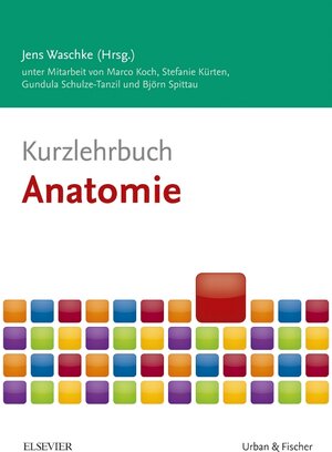 Buchcover Kurzlehrbuch Anatomie | Marco Koch | EAN 9783437432958 | ISBN 3-437-43295-8 | ISBN 978-3-437-43295-8