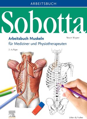 Buchcover Sobotta Arbeitsbuch Muskeln | Nicole Wagner | EAN 9783437441028 | ISBN 3-437-44102-7 | ISBN 978-3-437-44102-8