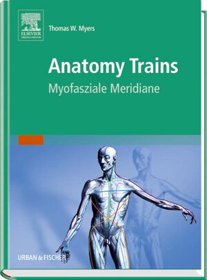 Anatomy Trains: Myofasziale Leitbahnen