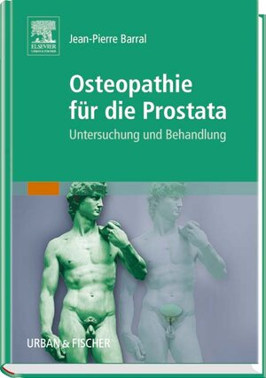 Osteopathie für die Prostata: Untersuchung und Behandlung