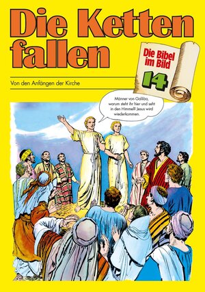 Buchcover Die Ketten fallen | EAN 9783438043146 | ISBN 3-438-04314-9 | ISBN 978-3-438-04314-6