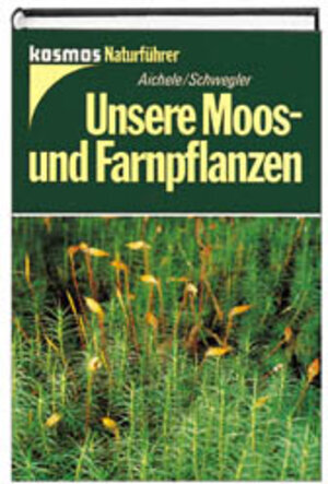 Buchcover Unsere Moos- und Farnpflanzen | Dietmar Aichele | EAN 9783440067000 | ISBN 3-440-06700-9 | ISBN 978-3-440-06700-0