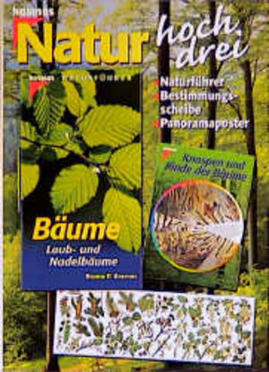 Buchcover Bäume | Bruno P Kremer | EAN 9783440079492 | ISBN 3-440-07949-X | ISBN 978-3-440-07949-2