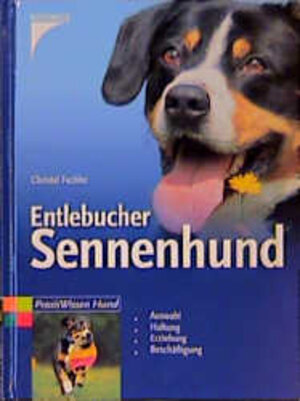 Entlebucher Sennenhund: Auswahl, Haltung, Erziehung, Beschäftigung