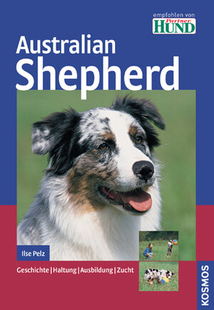 Australian Shepherd: Geschichte / Haltung / Ausbildung / Zucht