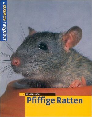 Pfiffige Ratten