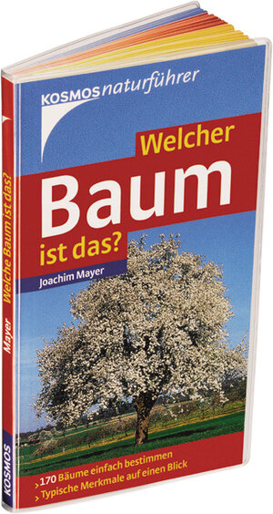 Welcher Baum ist das? 170 Bäume einfach bestimmen - typische Merkmale auf einen Blick