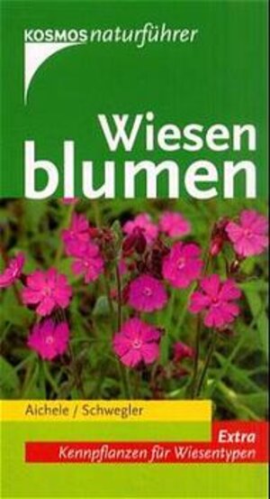 Wiesenblumen auf Weiden, Wiesen und Rasen. Extra: Kennpflanzen für Wiesentypen