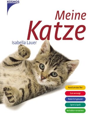 Meine Katze