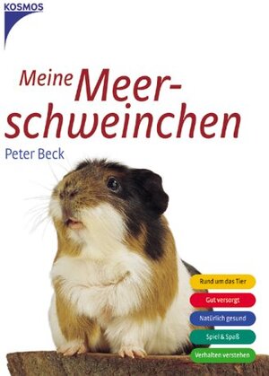 Meine Meerschweinchen