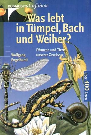 Was lebt in Tümpel, Bach und Weiher?