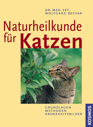 Naturheilkunde für Katzen: Grundlagen, Methoden, Krankheitsbilder