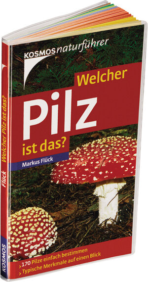 Welcher Pilz ist das? 170 Pilze einfach bestimmen - typische Merkmale auf einen Blick