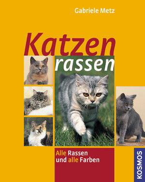 Katzenrassen: Alle Rassen und alle Farben