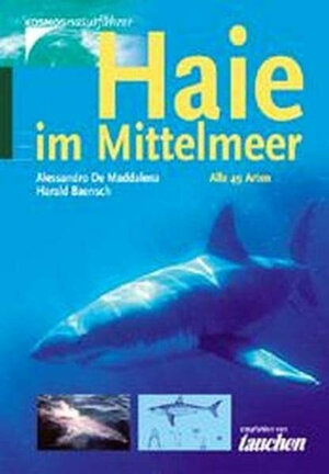 Haie im Mittelmeer: Alle 49 Arten
