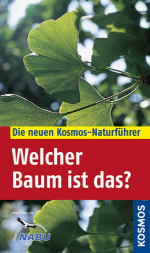 Buchcover Welcher Baum ist das? | Margot Spohn | EAN 9783440107942 | ISBN 3-440-10794-9 | ISBN 978-3-440-10794-2