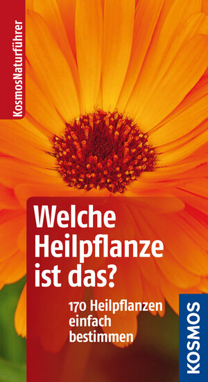 Buchcover Welche Heilpflanze ist das? | Wolfgang Hensel | EAN 9783440142516 | ISBN 3-440-14251-5 | ISBN 978-3-440-14251-6