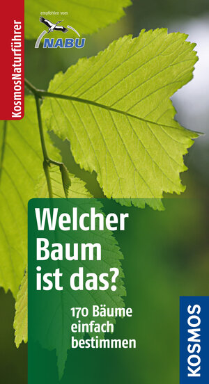Buchcover Welcher Baum ist das? | Joachim Mayer | EAN 9783440142530 | ISBN 3-440-14253-1 | ISBN 978-3-440-14253-0