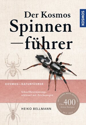 Buchcover Der Kosmos Spinnenführer | Heiko Bellmann | EAN 9783440155219 | ISBN 3-440-15521-8 | ISBN 978-3-440-15521-9