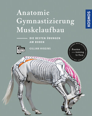 Buchcover Anatomie, Gymnastizierung, Muskelaufbau | Gillian Higgins | EAN 9783440157442 | ISBN 3-440-15744-X | ISBN 978-3-440-15744-2