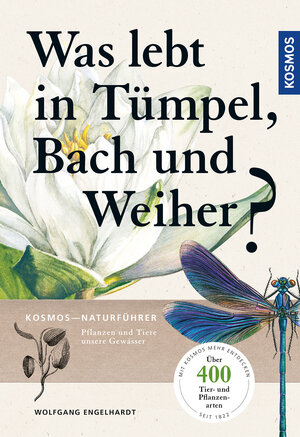 Buchcover Was lebt in Tümpel, Bach und Weiher? | Wolfgang Engelhardt | EAN 9783440159002 | ISBN 3-440-15900-0 | ISBN 978-3-440-15900-2