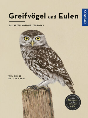 Buchcover Greifvögel und Eulen | Paul Böhre | EAN 9783440159323 | ISBN 3-440-15932-9 | ISBN 978-3-440-15932-3