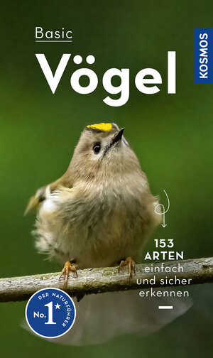 Buchcover BASIC Vögel | Volker Dierschke | EAN 9783440173930 | ISBN 3-440-17393-3 | ISBN 978-3-440-17393-0