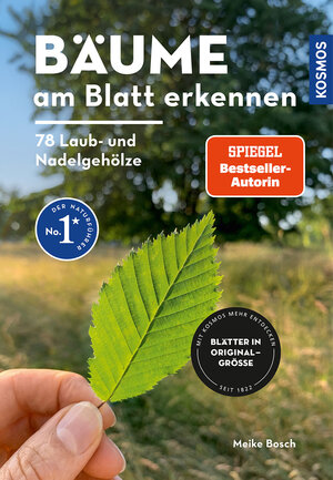 Buchcover Bäume am Blatt erkennen - 78 Laub- und Nadelgehölze. Blätter in Originalgröße | Meike Bosch | EAN 9783440179802 | ISBN 3-440-17980-X | ISBN 978-3-440-17980-2