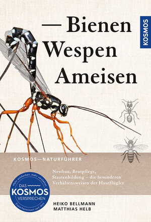 Buchcover Bienen, Wespen, Ameisen | Heiko Bellmann | EAN 9783440179826 | ISBN 3-440-17982-6 | ISBN 978-3-440-17982-6
