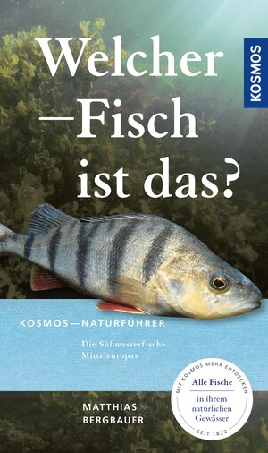 Buchcover Welcher Fisch ist das? | Matthias Bergbauer | EAN 9783440509753 | ISBN 3-440-50975-3 | ISBN 978-3-440-50975-3