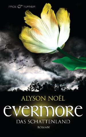 Buchcover Evermore 3 - Das Schattenland | Alyson Noël | EAN 9783442203772 | ISBN 3-442-20377-5 | ISBN 978-3-442-20377-2