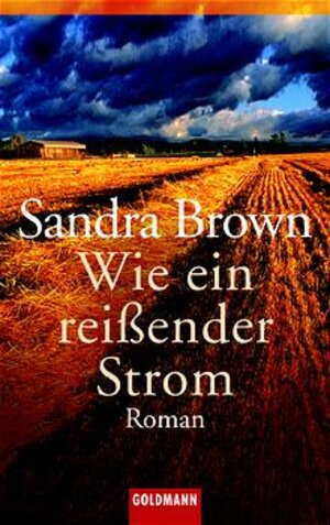 Wie ein reißender Strom: Roman