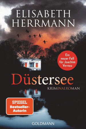 Buchcover Düstersee | Elisabeth Herrmann | EAN 9783442492824 | ISBN 3-442-49282-3 | ISBN 978-3-442-49282-4