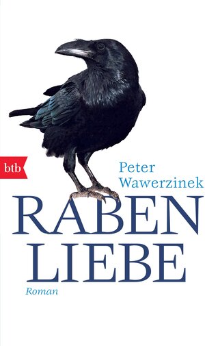 Buchcover Rabenliebe | Peter Wawerzinek | EAN 9783442742653 | ISBN 3-442-74265-X | ISBN 978-3-442-74265-3