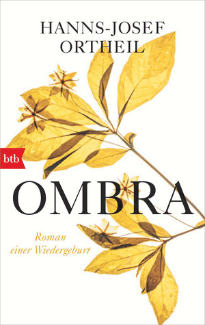 Buchcover OMBRA | Hanns-Josef Ortheil | EAN 9783442772698 | ISBN 3-442-77269-9 | ISBN 978-3-442-77269-8