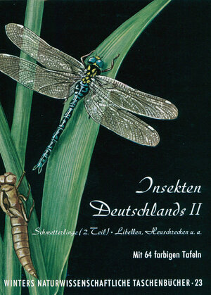 Buchcover Insekten Deutschlands / Schmetterlinge | H Brandt | EAN 9783443250232 | ISBN 3-443-25023-8 | ISBN 978-3-443-25023-2