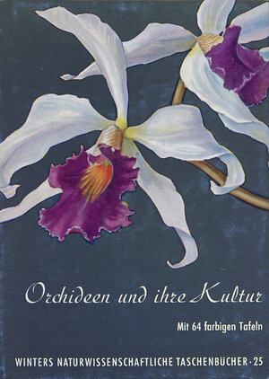 Buchcover Orchideen der Tropen und Subtropen | K Matho | EAN 9783443250256 | ISBN 3-443-25025-4 | ISBN 978-3-443-25025-6