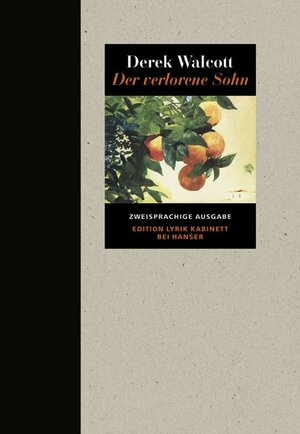 Buchcover Der verlorene Sohn | Derek Walcott | EAN 9783446207578 | ISBN 3-446-20757-0 | ISBN 978-3-446-20757-8