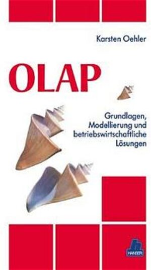 OLAP: Grundlagen, Modellierung und betriebswirtschaftliche Lösungen