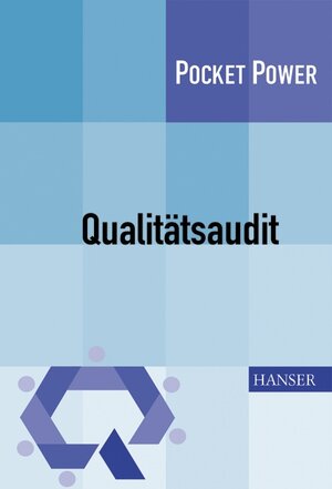 Qualitätsaudit: Planung und Durchführung von Audits nach DIN EN ISO 9001:2000