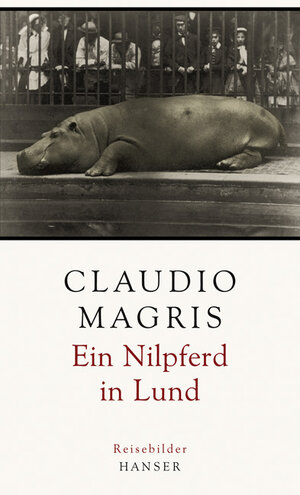 Buchcover Ein Nilpferd in Lund | Claudio Magris | EAN 9783446230866 | ISBN 3-446-23086-6 | ISBN 978-3-446-23086-6