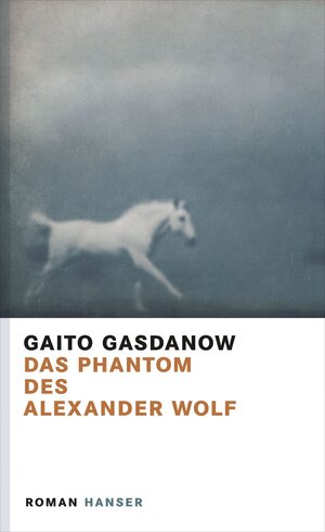 Buchcover Das Phantom des Alexander Wolf | Gaito Gasdanow | EAN 9783446238534 | ISBN 3-446-23853-0 | ISBN 978-3-446-23853-4